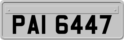 PAI6447