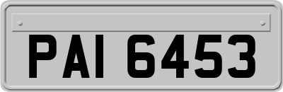 PAI6453