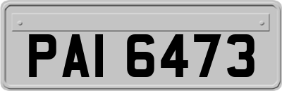 PAI6473