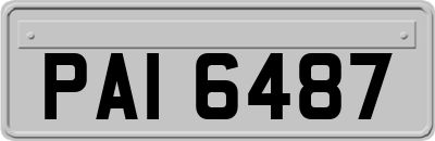 PAI6487