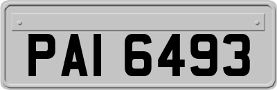 PAI6493