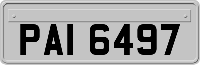 PAI6497