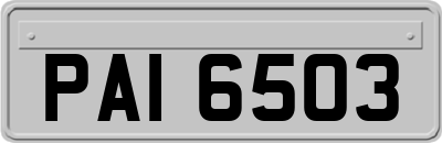 PAI6503