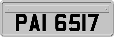 PAI6517