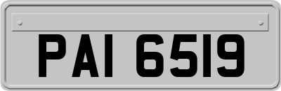 PAI6519