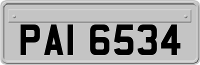 PAI6534