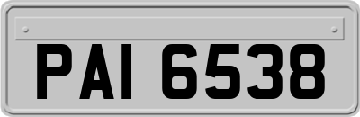 PAI6538