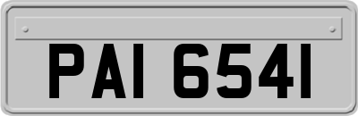 PAI6541
