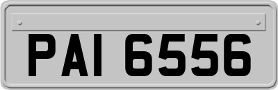 PAI6556