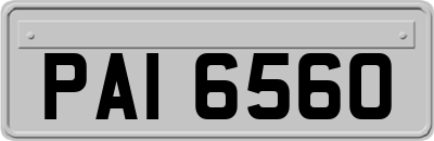PAI6560