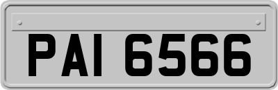 PAI6566