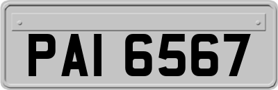 PAI6567