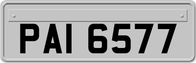 PAI6577