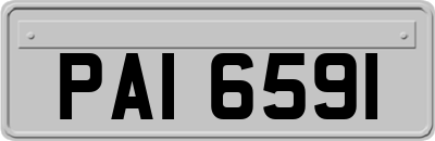 PAI6591