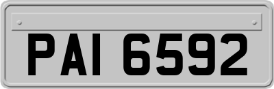 PAI6592