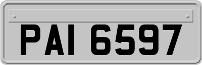 PAI6597