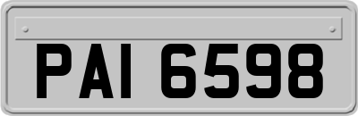 PAI6598