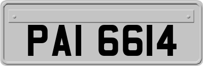 PAI6614