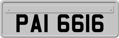 PAI6616