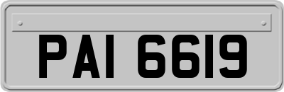 PAI6619