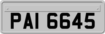 PAI6645