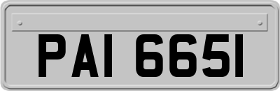 PAI6651