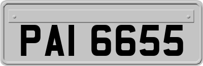 PAI6655