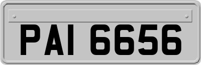 PAI6656