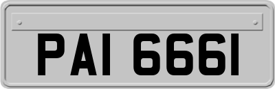 PAI6661