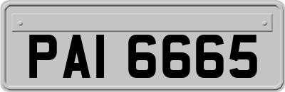 PAI6665