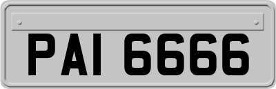 PAI6666