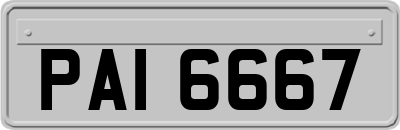 PAI6667