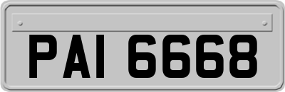 PAI6668