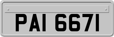 PAI6671