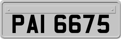 PAI6675