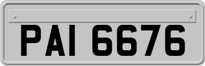 PAI6676