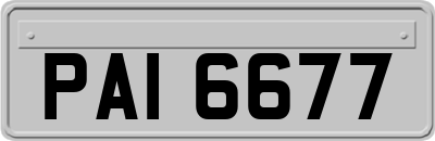 PAI6677