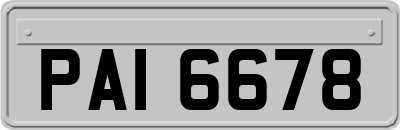 PAI6678
