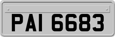 PAI6683
