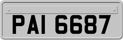 PAI6687