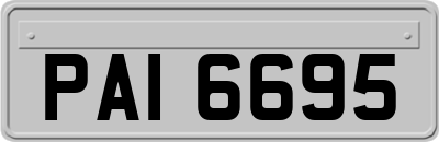 PAI6695
