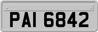 PAI6842
