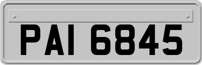 PAI6845