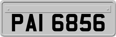 PAI6856