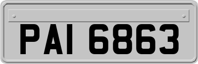 PAI6863