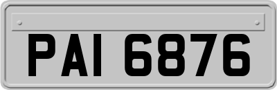 PAI6876
