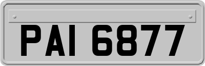 PAI6877