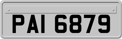 PAI6879