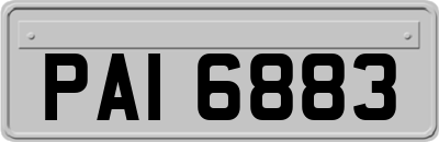 PAI6883