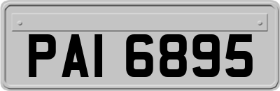 PAI6895